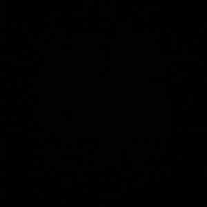 Meet your Posher, Miriam